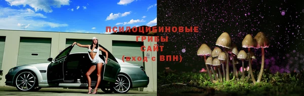 MESCALINE Няндома