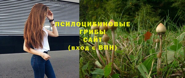 mix Нязепетровск