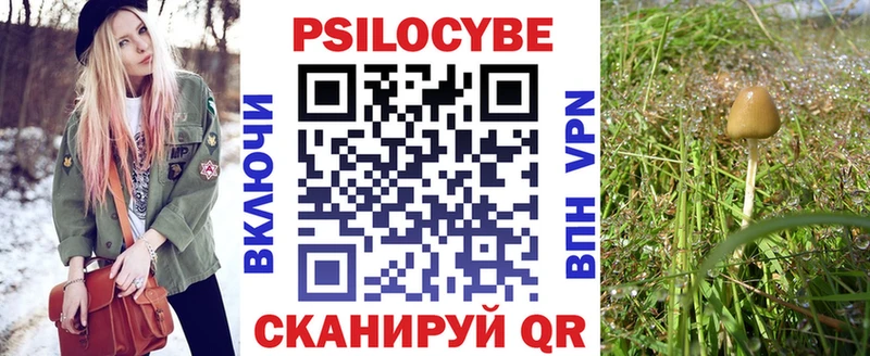 наркошоп  Химки  Галлюциногенные грибы мухоморы 
