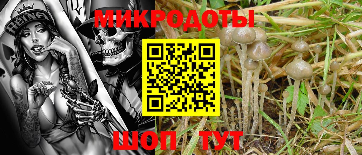 Галлюциногенные грибы ЛСД Химки