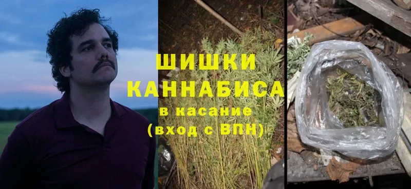 Бошки марихуана сатива  Химки 